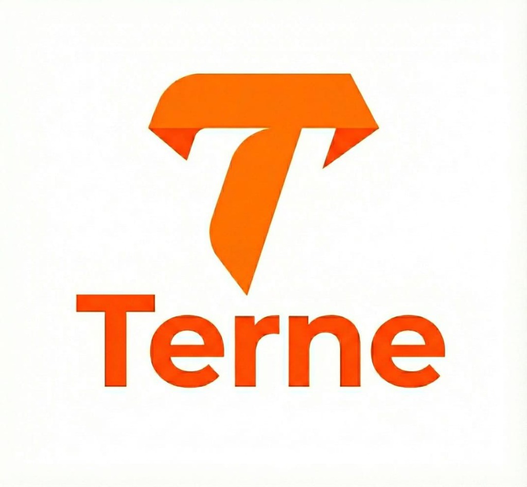 Terne Logo